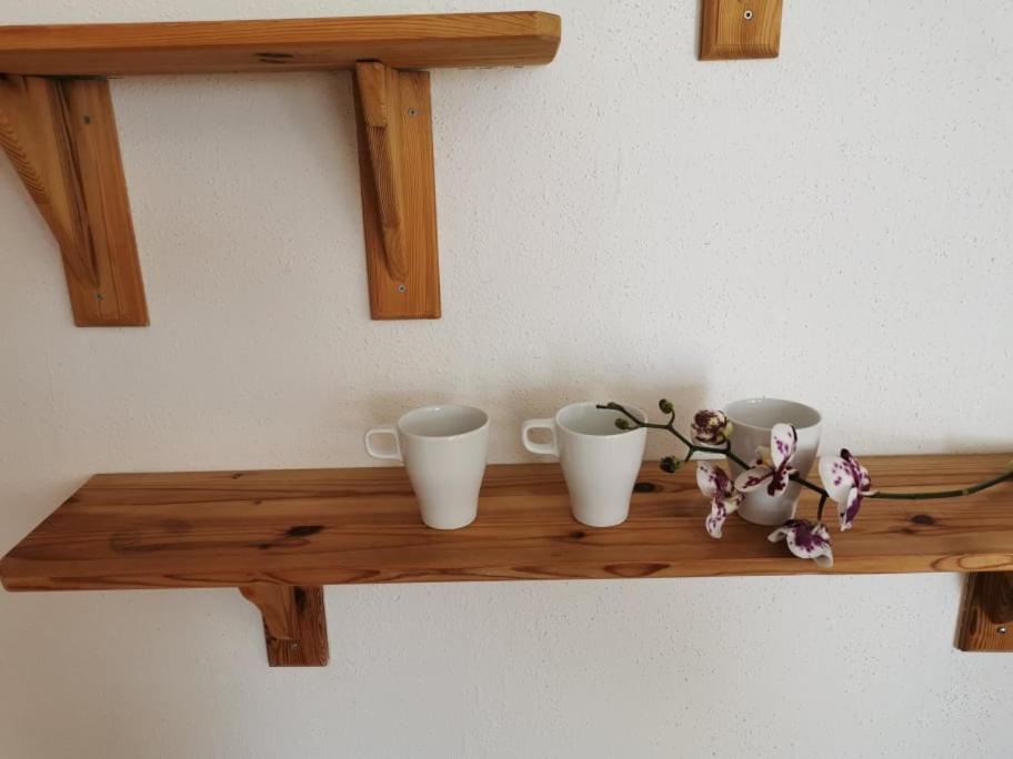 Apartma Lindau Lendava Dış mekan fotoğraf